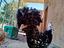 Immagine 6