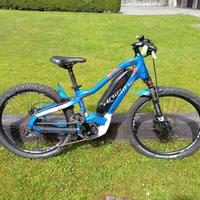 Ebike Haibike 24” Hard Four 2.0