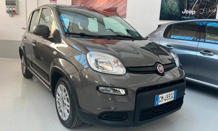 FIAT Panda 3ª serie Panda 1.0 FireFly S&S Hybrid
