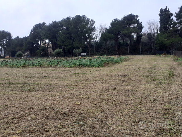 Terreno Agricolo San Bartolo- vista città e mare