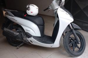 sh300 bianco 