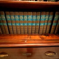 Enciclopedia 16 volumi Rizzoli Larousse