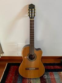 Chitarra acustica
