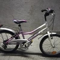 Bicicletta bimbi con cambio 