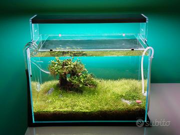Acquario ADA 450x270x300mm