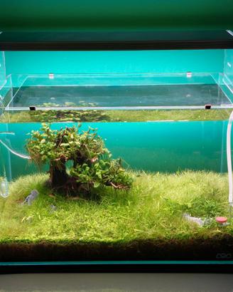 Acquario ADA 450x270x300mm