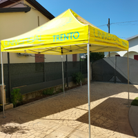 Gazebo expotent professionale