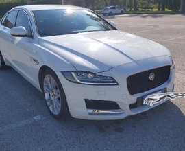 Jaguard xf berlina