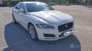 Jaguard xf berlina