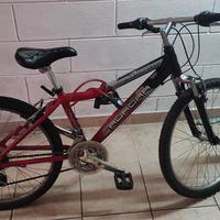 Mountain bike da bambino