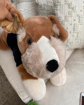 Peluche