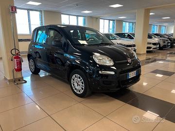 FIAT Panda 3ª serie Panda 1.2 Easy