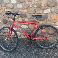 Mountain bike ragazzo
