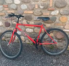 Mountain bike ragazzo