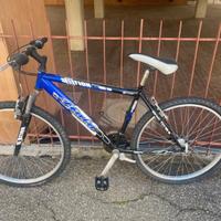 Bicicletta