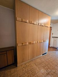Flurschrank  / Armadio da ingresso