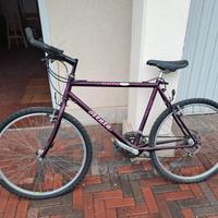 Atala - Mountain Bike