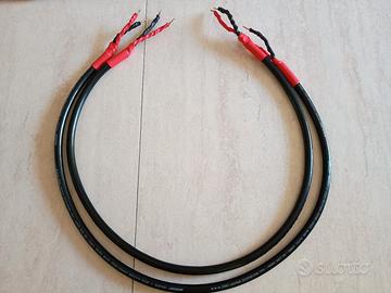 Cavi di potenza Neotech NES 3005 ll