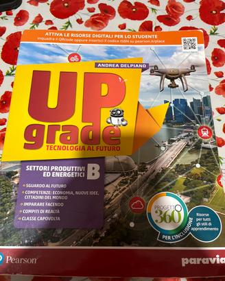 Libro Up grade B