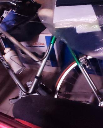 biciclette Mountain bike 