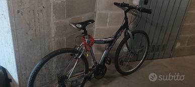 bicicletta 