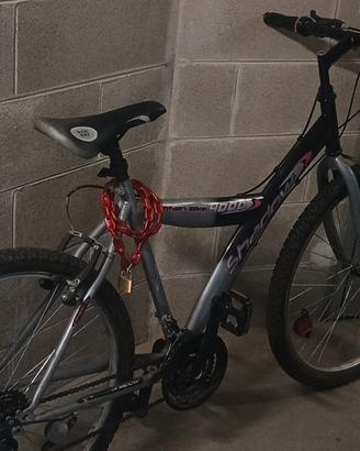 bicicletta 
