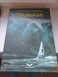 libro Tsunami di Stefano D'Orazio