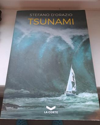 libro Tsunami di Stefano D'Orazio