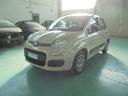 fiat-panda-1-2-easy-e6-neopatentati
