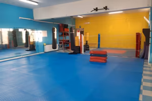 Sale Fitness ed Arti Marziali