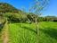 Immagine 25