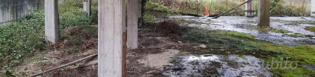 Immobile in asta di 497 m² a Terni - Vista 4