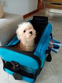 Trasportino per cane taglia piccola