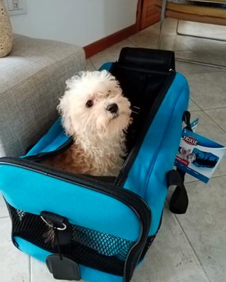Trasportino per cane taglia piccola
