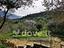 Immagine 20