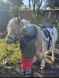 Pony Falabella per bambini