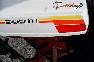Fuoribordo Ducati cucciolo 5Hp