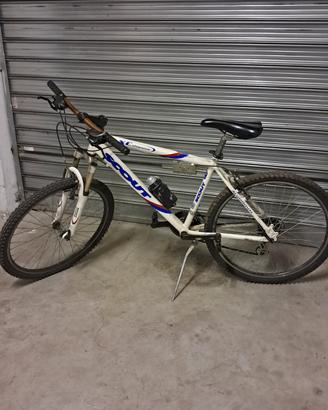 Bicicletta bianca scout 