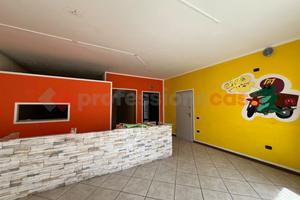 Negozio Cologna Veneta [Cod. rif 3328844ACG]