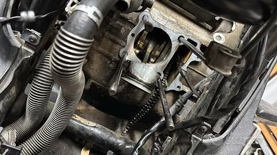 Sh 2010 doppio disco