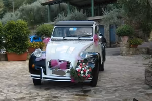 citroen 2cv 