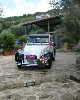 citroen 2cv 