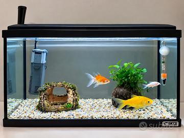 Acquario Sicce 20 litri con riscaldatore e filtro