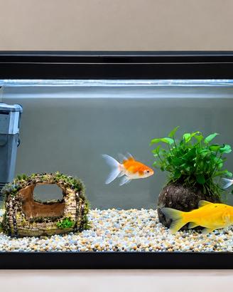 Acquario Sicce 20 litri con riscaldatore e filtro