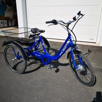 Triciclo elettrico per adulti