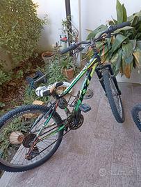 mountain bike 24 pollici