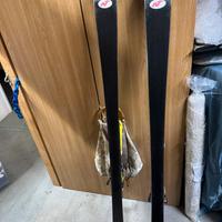 Sci nordica