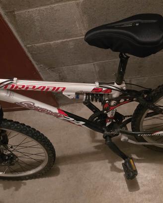 bicicletta ammortizzata da 24