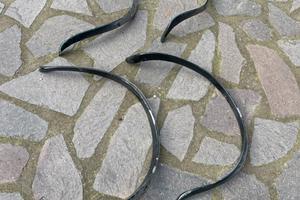 Parafanghi Lancia Fulvia coupè