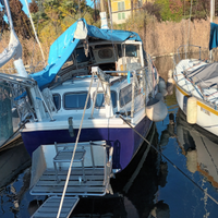 Motorseiler tortuga 27